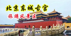 尤物人妻被老外侵犯中文字幕中国北京-东城古宫旅游风景区